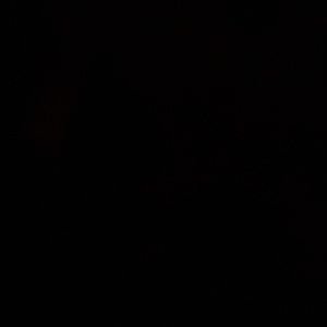 Meet your Posher, Marvin